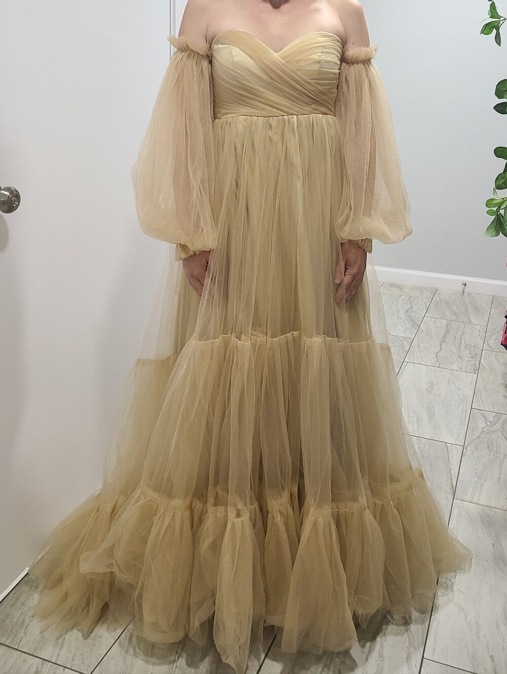 Off-Shoulder Tulle Maxi Dress in Champagne